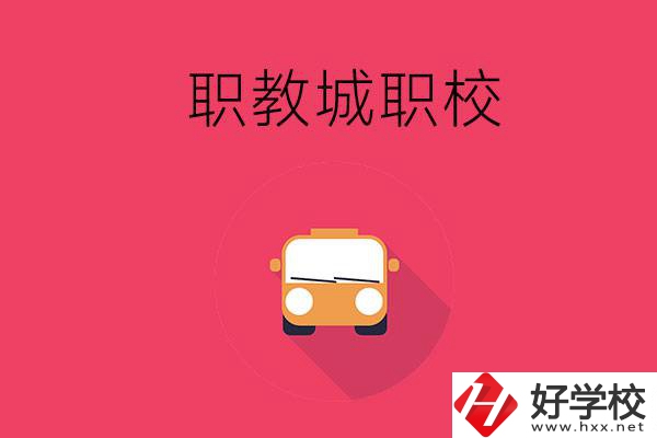 株洲職教城有什么職校？