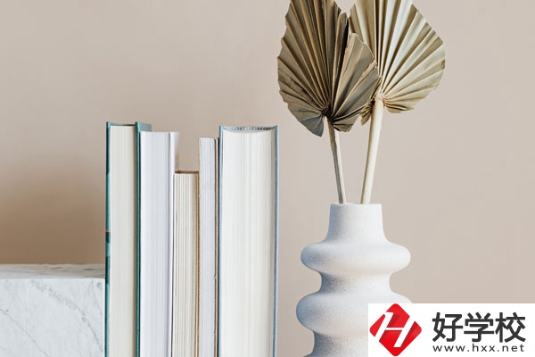 懷化職業(yè)技術(shù)學(xué)院(中職部)好不好，值得選擇嗎？