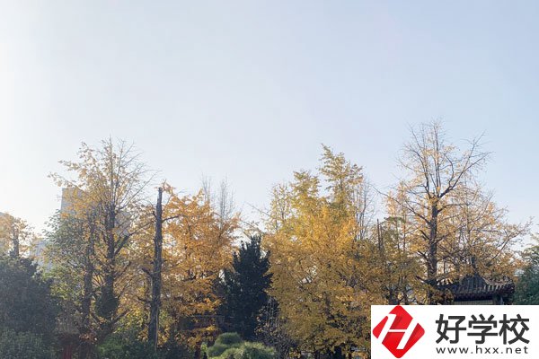 湘潭縣就業(yè)職業(yè)技術(shù)學校有哪些專業(yè)？就業(yè)前景怎么樣？