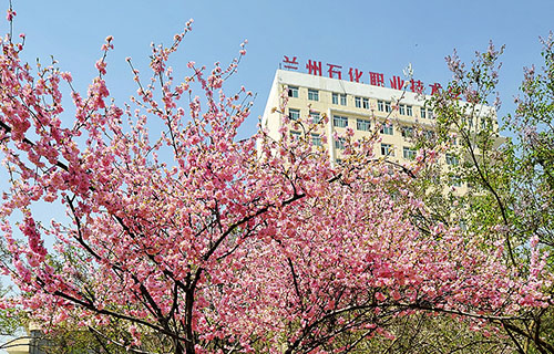 蘭州石化職業(yè)技術(shù)學院
