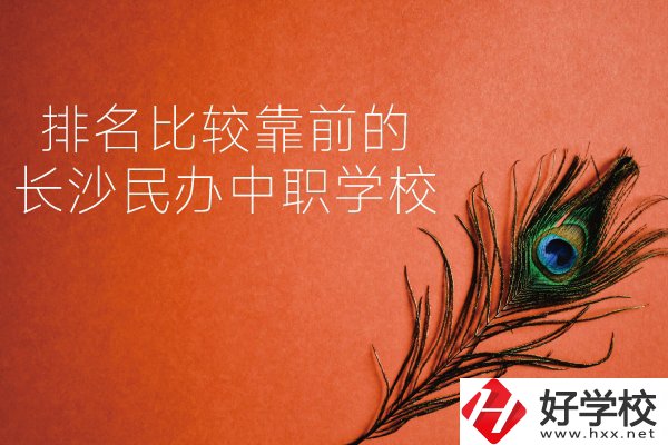 長沙哪些民辦中職學校排名比較靠前？