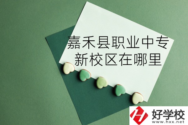 嘉禾縣職業(yè)中專怎么樣？新校區(qū)在哪里？