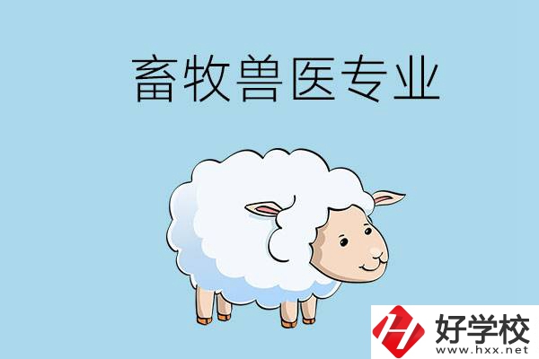 畜牧獸醫(yī)專業(yè)好就業(yè)嗎？湖南哪些技校開設(shè)了該專業(yè)？