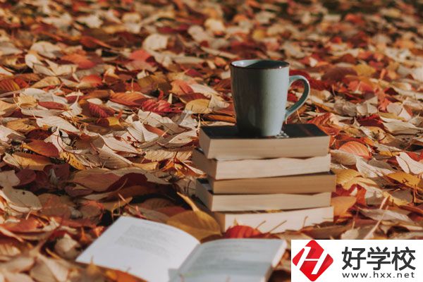 中方縣職業(yè)中等專業(yè)學(xué)校有什么專業(yè)？好不好？