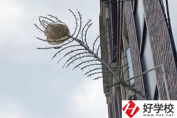 湖南省邵陽交通學(xué)校怎么樣？有哪些熱門專業(yè)？