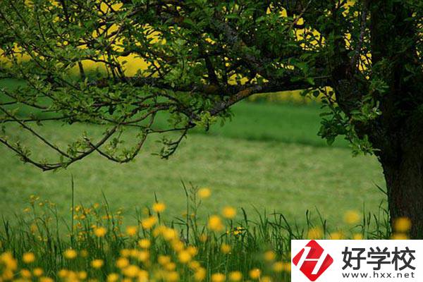 在邵陽讀中職有前途嗎？如何選擇學校呢？