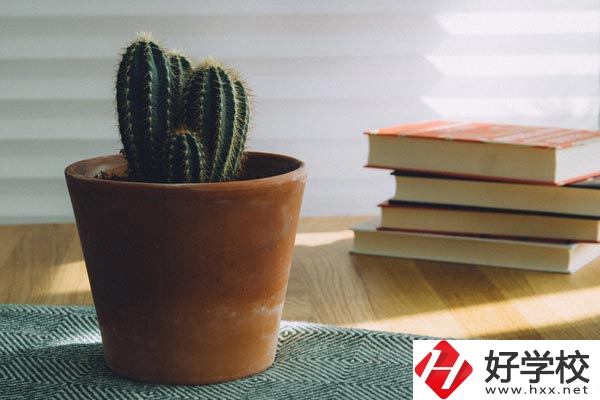 桃江縣職業(yè)中專學(xué)校辦學(xué)條件怎么樣？有哪些特色？