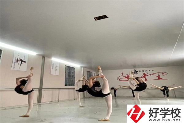 懷化市大鑫藝術(shù)職業(yè)學(xué)校是公辦嗎？學(xué)費(fèi)是多少？