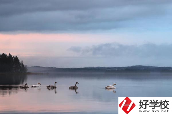 湖南有色金屬中專學(xué)校有哪些專業(yè)？就業(yè)方向如何？