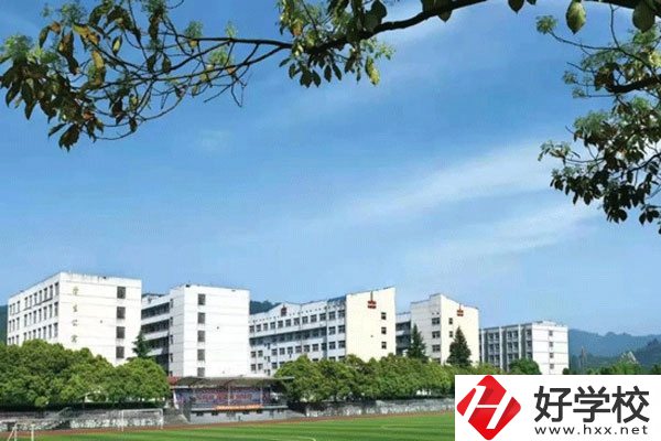 懷化職業(yè)技術學院有中職嗎？
