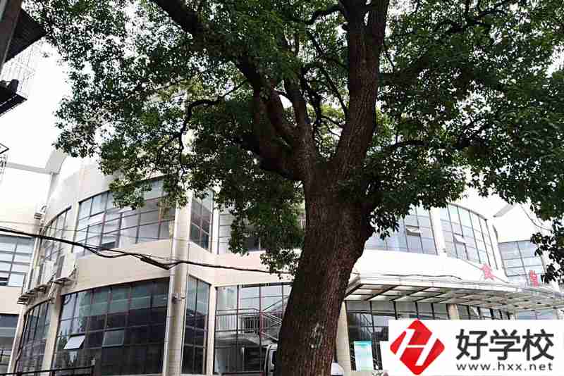 衡陽排名前三的職業(yè)學校你知道有哪幾所？