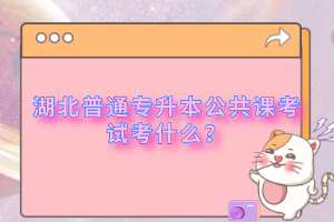 湖北普通專(zhuān)升本公共課考試考什么？