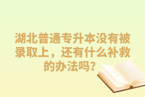 湖北普通專升本沒有被錄取上，還有什么補(bǔ)救的辦法嗎？