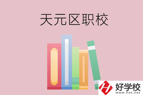 株洲市天元區(qū)的職校有哪幾所？