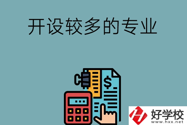 湖南的中職學(xué)校開設(shè)較多的專業(yè)是哪些？