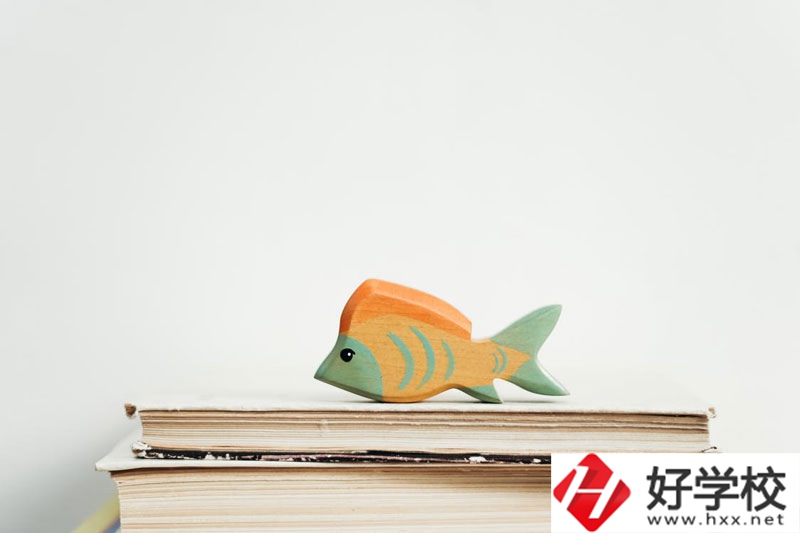 長沙市英藍中等職業(yè)學(xué)校學(xué)費多少？貴不貴？