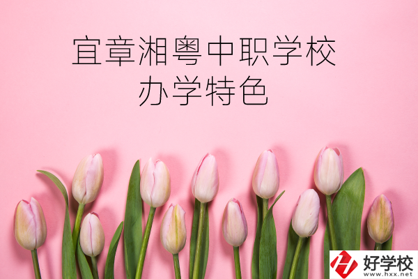 宜章湘粵中職學校在哪？有什么辦學特色？