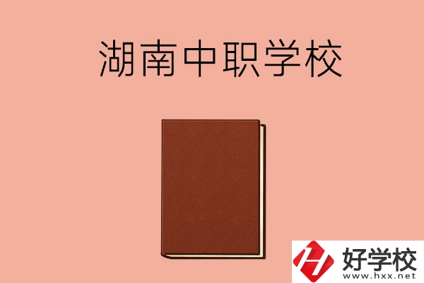 湖南有哪些就業(yè)率比較高的中職學校？