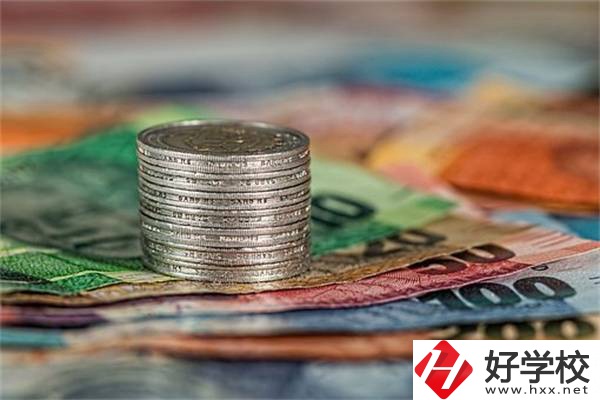 湖南職校會計(jì)電算化專業(yè)怎么樣？就業(yè)前景好不好？