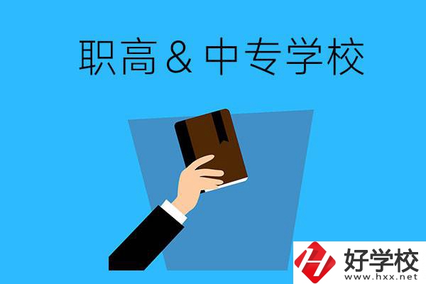 長沙現在還有哪些職高或中專學?？梢詧竺?？