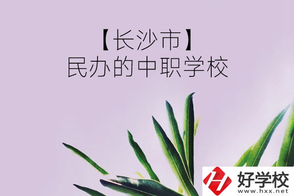 長(zhǎng)沙市有哪些民辦的中職學(xué)校？