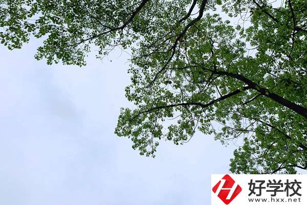 衡南縣職業(yè)中專(zhuān)學(xué)校的宿舍和食堂環(huán)境怎么樣？
