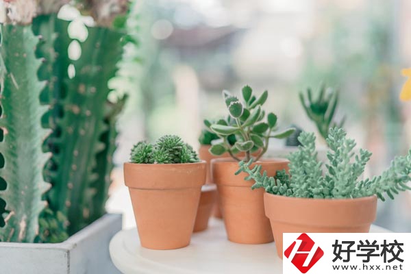 瀏陽市三聯(lián)工業(yè)學(xué)校辦學(xué)條件怎么樣？