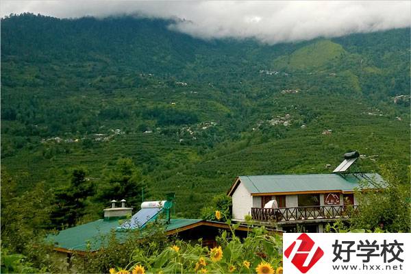 益陽(yáng)大誠(chéng)職業(yè)學(xué)校的專業(yè)怎么樣？就業(yè)方向如何？