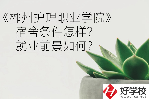 郴州護(hù)理職業(yè)學(xué)院宿舍條件怎樣？就業(yè)前景如何？