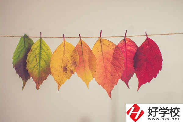 長(zhǎng)沙益立中等職業(yè)學(xué)校有哪些特色專(zhuān)業(yè)？