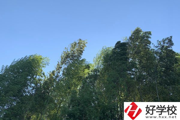 張家界協(xié)力技工學(xué)校好不好？就業(yè)前景怎么樣？