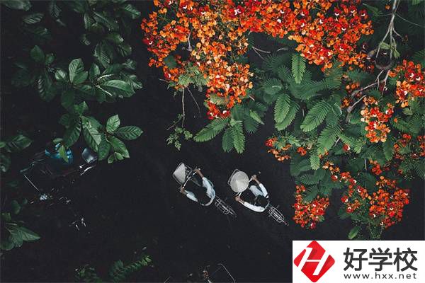 湖南分?jǐn)?shù)低選私立高中還是選職校？選職校還能統(tǒng)考嗎？