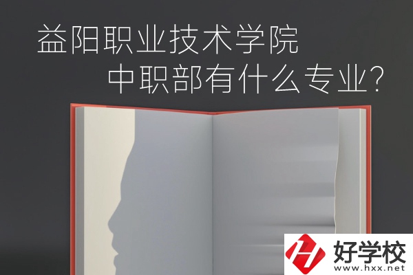 益陽(yáng)職業(yè)技術(shù)學(xué)院中職部有什么專業(yè)？