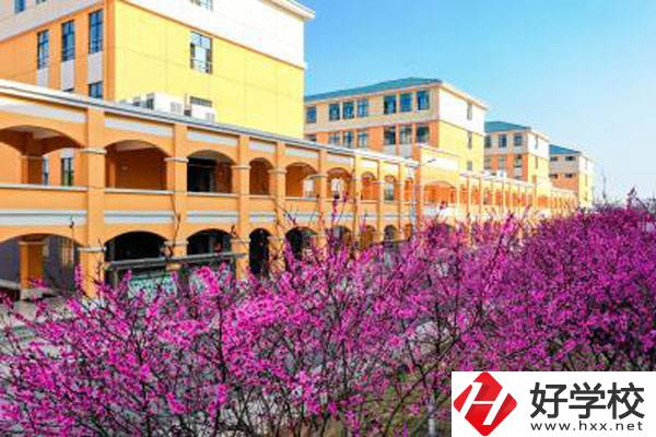湖南省隆回職業(yè)中等專業(yè)學(xué)校有哪些辦學(xué)特色？