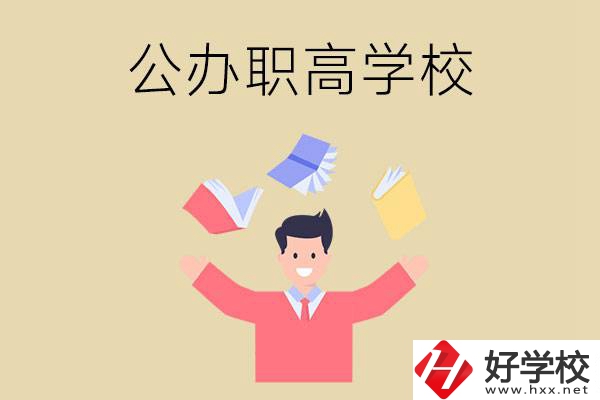 婁底公辦的職高學(xué)校有幾所？