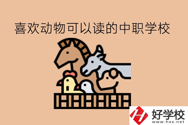 喜歡動物的學生，可以讀這些中職學校!