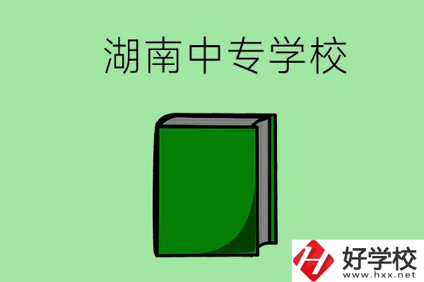 湖南的中專學校有哪些？都開設了哪些專業(yè)？