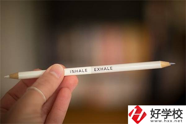 在湖南選擇中職學(xué)校要注意4點，招生信息可以在哪看？