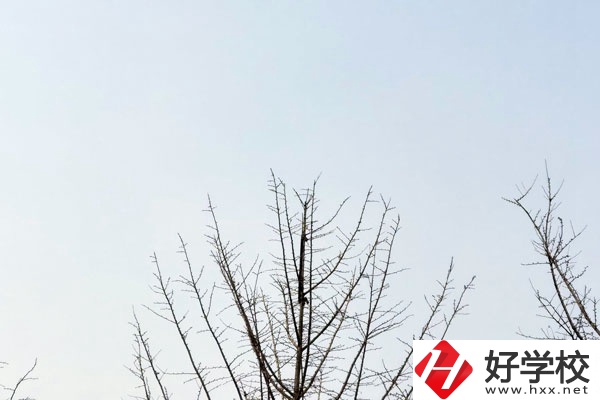 益陽第一職業(yè)中專學(xué)校怎么樣？值得報考嗎?
