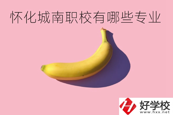 懷化城南職業(yè)學(xué)校有哪些專業(yè)？學(xué)校好不好？