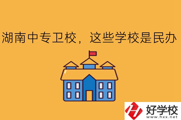 湖南中專衛(wèi)校，這些學(xué)校是民辦!