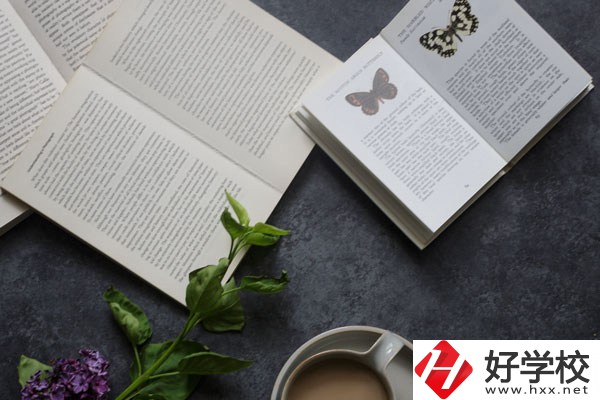 湘南船山技工學校好不好？環(huán)境怎么樣？