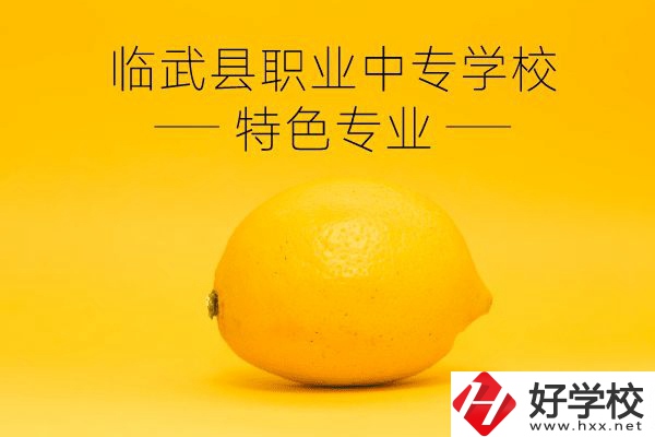臨武縣職業(yè)中專學(xué)校好嗎？有哪些特色專業(yè)？