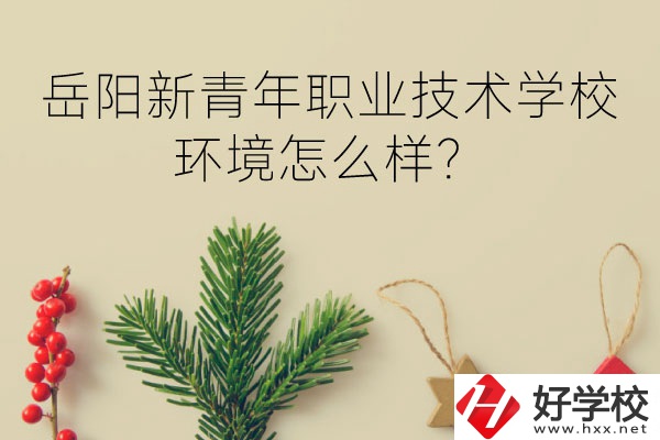 岳陽(yáng)新青年職業(yè)技術(shù)學(xué)校好不好？環(huán)境怎么樣？