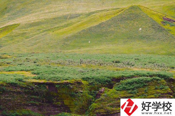 湖南衡南職業(yè)中等專業(yè)學(xué)校好嗎？學(xué)校有什么優(yōu)勢(shì)？