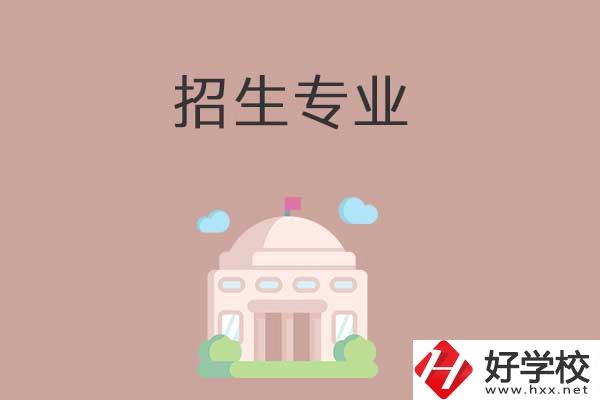 益陽(yáng)有哪些高職院校設(shè)立了中職部？招生專業(yè)有哪些？