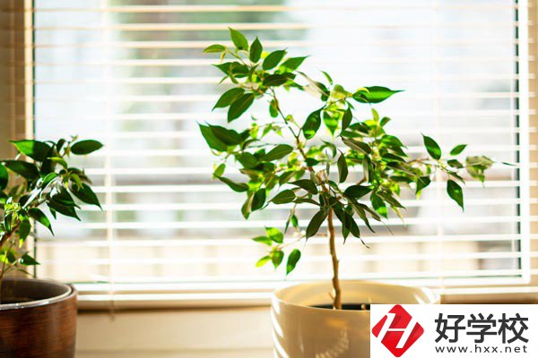 湖南省商業(yè)技師學(xué)院有哪些教學(xué)特色？報(bào)考有何要求？