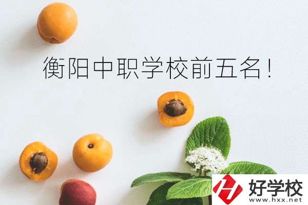 衡陽(yáng)中職學(xué)校前五名！你選對(duì)了嗎？