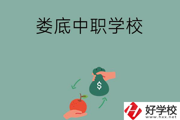 婁底市有哪些中職學(xué)校？排名前五的是哪幾所？