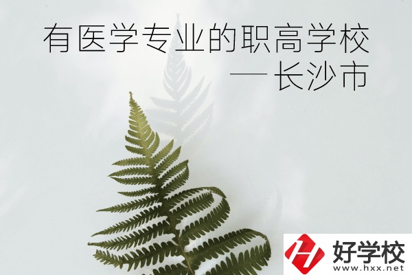 長(zhǎng)沙市哪些職高學(xué)校有醫(yī)學(xué)專業(yè)？